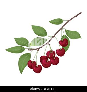 Sweet Cherry branch. Summer fruits, vitamins. Trendy Vector illustration for labels, menus, posters, or others. Stock Vector