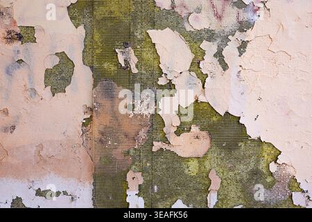 Texture of an old wall with peeling paint and mold Stock Photo
