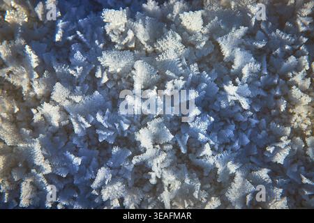 Macro Frost Crystal Texture Winter Abstract Stock Photo