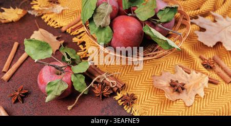 Apples with Cinnamon and Anise on Autumn Table Stock Photo