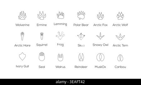 Arctic Animal Footprints Outline Paw Tracks Silhouette Vector Icon Set Polar Wildlife Track Collection Stock Vector