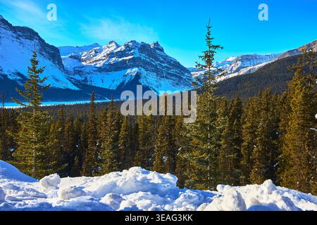 Snow Covered Mountains and Evergreen Forest in Winter Banff Alberta Stock Photo