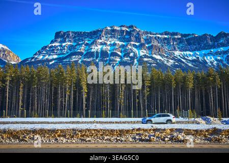 Snowy Mountain Road Trip in Banff Alberta with Pine Forest and Winter Landscape Stock Photo