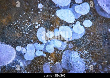Frozen Methane Bubbles Under Ice Abstract Winter Lake Texture Stock Photo