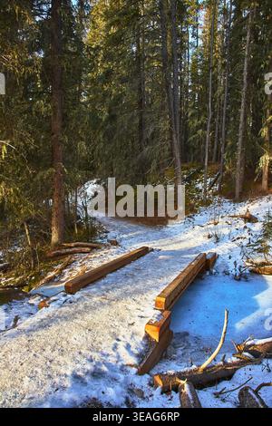 Winter Forest Trail Wooden Footbridge and Frozen Stream in Sunlit Wilderness Stock Photo