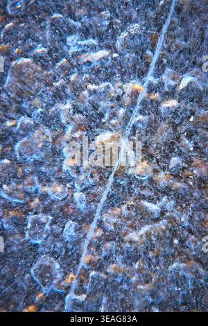 Frozen Lake Ice Bubbles and Crack Abstract Winter Texture Stock Photo
