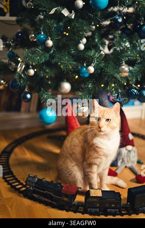 Ginger cat sitting beside toy train under decorated christmas tree with blue and silver ornaments and warm fairy lights at home, cozy holiday scene. Stock Photo