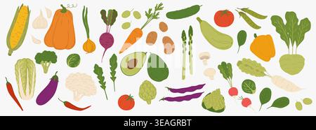 Ripe raw vegetables, vector food, veggies and greens. Flat cartoon carrot, potato, onion and cabbage, raw tomato and cucumber, broccoli and radish, pumpkin, spinach and arugula leafy vegetables Stock Vector
