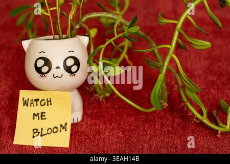 Symbolic Growth and Personal Development Concept with Potted Plant, 'Watch Me Bloom' readable text note Stock Photo