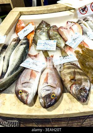 Variety of fresh whole fish including sea bream and bass displayed on crushed ice with price tags at Lagos seafood market in Portugal Stock Photo