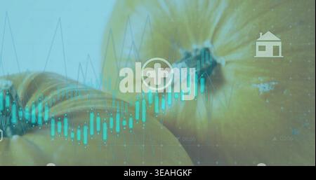 Showing two yellow onions on table with teal overlays, plus icon, house icon, reflections Stock Photo