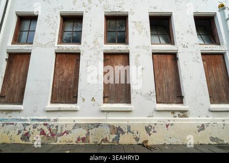 Close-up of weathered wooden window shutters on a historic Dutch colonial building with peeling white paint and a stray cat resting on the sidewalk in Stock Photo