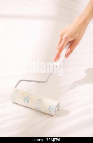 A woman's hand holds a paint roller, applying white paint to a wall in a bright, empty room. Stock Photo