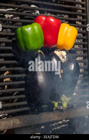 Vertical shot of colorful peppers and eggplants cooking on a grill. Healthy outdoor dining and summer lifestyle background. Stock Photo