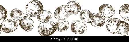 Hand drawn potato vegetable illustration seamless border. Monochrome ink sketch of raw tubers in line art style. Agricultural harvest graphic design Stock Vector