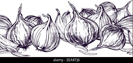 Hand drawn sketch illustration of onion bulbs in ink line art style. Horizontal border design featuring fresh vegetable for grocery store branding Stock Vector