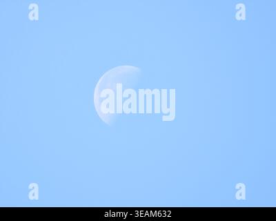 Half moon visible in a clear light blue daylight sky. A waxing gibbous moon appearing pale and white against a bright, clear blue sky during the daytiime. Stock Photo