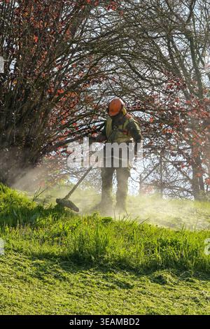 Trier, Germany - 14 April 2026: Dust flying up from the ground around a person using a petrol driven strimmer machine to cut grass in a park. Stock Photo