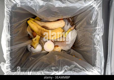 Top view of a kitchen trash bin filled with organic waste including banana peels, eggshells, and vegetable scraps in a clear plastic bag Stock Photo