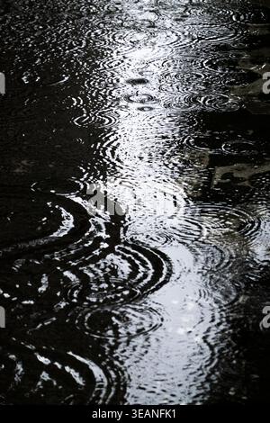 Raindrops create rhythmic concentric ripples on a dark water surface. The interlocking patterns serve as a metaphor for dissemination and the cascadin Stock Photo