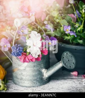 flowers, spring, watering can, flower, flower valentain, watering cans Stock Photo