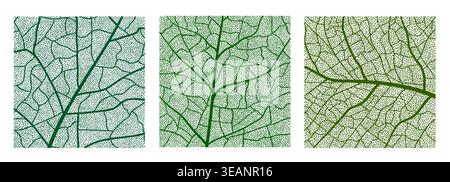 Leaf plant texture with green veins, macro background of tree foliage cells. Botany tree cellular lattice vector backdrop, leaf vein tissue transparent pattern. Plant cell closeup texture background Stock Vector