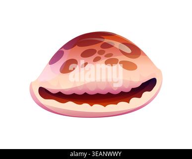 Ocean bottom cowrie cartoon seashell or mussel. Ocean life cartoon shell, underwater mollusk seashell. Tropical sea fauna conch Stock Vector