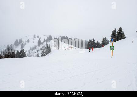 People walking through fresh snowfall on a snowy hillside with evergreen trees during a winter storm in Megeve, French Alps, France Stock Photo