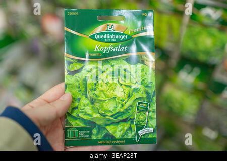 Bad Hersfeld, Germany, 04.21.2026: Hand holding lettuce seed packet in garden store. Organic food and planting concept. Stock Photo