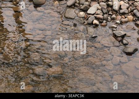 Shallow stream with stones and pebbles in clear water Stock Photo