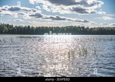 The sun reflecting on the surface of the lake Stock Photo