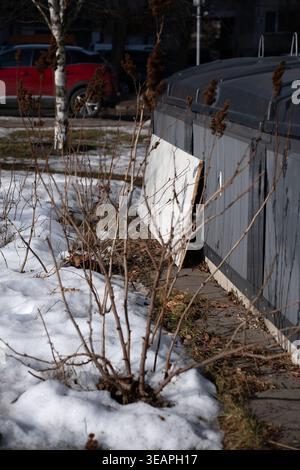 late-winter urban vignette of a gray dumpster with a leaning white plywood panel beside a concrete sidewalk, leafless shrubs and birch trunks rising f Stock Photo