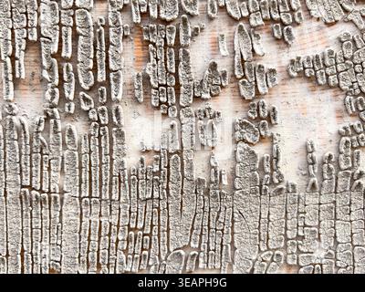 Surface shaped by time appears in cracked white paint on old wooden boards, forming irregular patterns and layered structure created by long term weat Stock Photo
