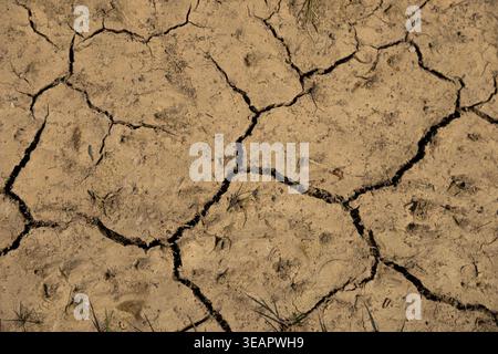 A detailed close-up of severely dry and cracked earth, revealing deep fissures and a rough, parched texture. The sandy soil is a light brown color, sh Stock Photo