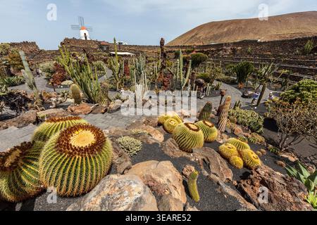Jardín de Cactus, Lanzarote, Canary Islands, Spain Stock Photo