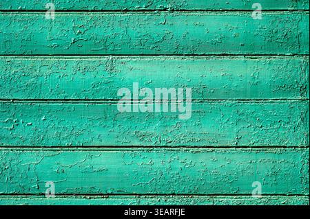 Grain texture of weathered green wooden planks for design, turquoise peeling paint background Stock Photo