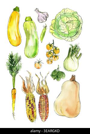 Vegetables food illustrations. Watercolor and ink sketches. Pumpkin, corn, cabbage, zucchini, carrots, tomatoes, spinach Stock Photo