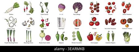 Vector food illustration colorful hand drawn vegetables, fruits Stock Vector