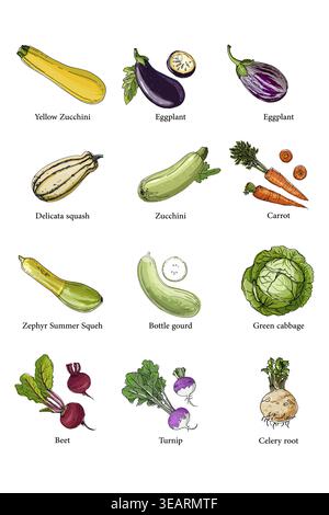 Vector food illustration colorful hand drawn vegetables Stock Vector