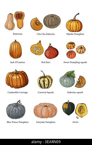 Vector food illustration colorful hand drawn vegetables Stock Vector