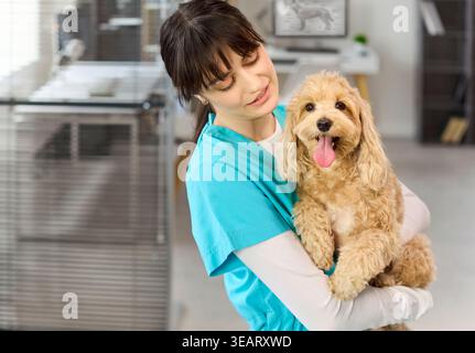 Smiling female veterinarian holding happy Maltipoo dog in modern pet clinic Stock Photo
