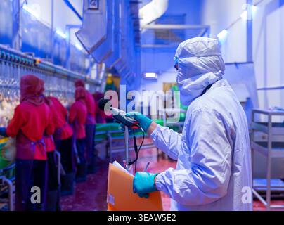 Occupational health and safety specialist conducting a noise audit and recording data with a decibel meter in a poultry slaughterhouse production area Stock Photo