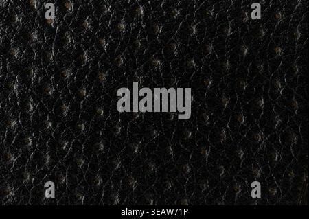 Black perforated leather surface material macro close up view Stock Photo