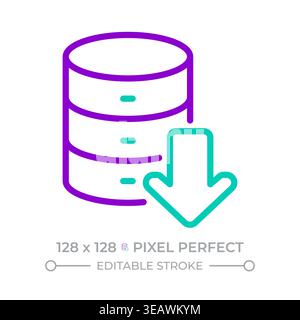 Database operations two color line icon Stock Vector