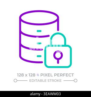 Database security two color line icon Stock Vector