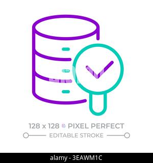 Database verification two color line icon Stock Vector