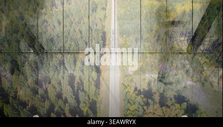 Cutting straight paved road running vertically through evergreen forest, reflecting glass mullions Stock Photo