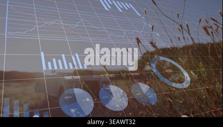 Displaying translucent data overlay covering rural land in warm late sun, with pickup and grasses Stock Photo