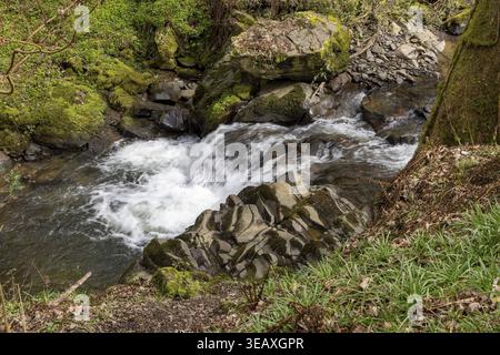 Rapids, Stream, Melincourt Waterfalls Nature Reserve, Melincourt, Neath, Wales, Great Britain Stock Photo
