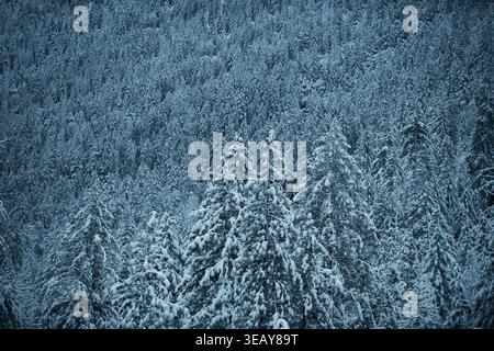 Snow Covered Scene in Yosemite Valley Stock Photo